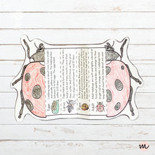 Load image into Gallery viewer, Lifecycle of a Ladybug Foldable Template