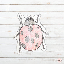 Load image into Gallery viewer, Lifecycle of a Ladybug Foldable Template