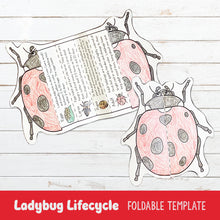 Load image into Gallery viewer, Lifecycle of a Ladybug Foldable Template