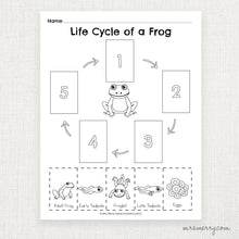 Load image into Gallery viewer, Life Cycle of a Frog Matching Printable Worksheet | Mrs. Merry Printables