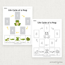 Load image into Gallery viewer, Life Cycle of a Frog Matching Printable Worksheet | Mrs. Merry Printables