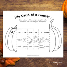 Load image into Gallery viewer, Life Cycle of a Pumpkin Packet | Pumpkin Educational Bundle