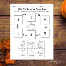 Load image into Gallery viewer, Life Cycle of a Pumpkin Packet | Pumpkin Educational Bundle
