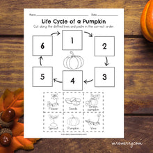 Load image into Gallery viewer, Life Cycle of a Pumpkin Packet | Pumpkin Educational Bundle