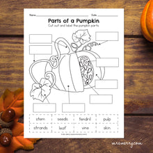 Load image into Gallery viewer, Life Cycle of a Pumpkin Packet | Pumpkin Educational Bundle