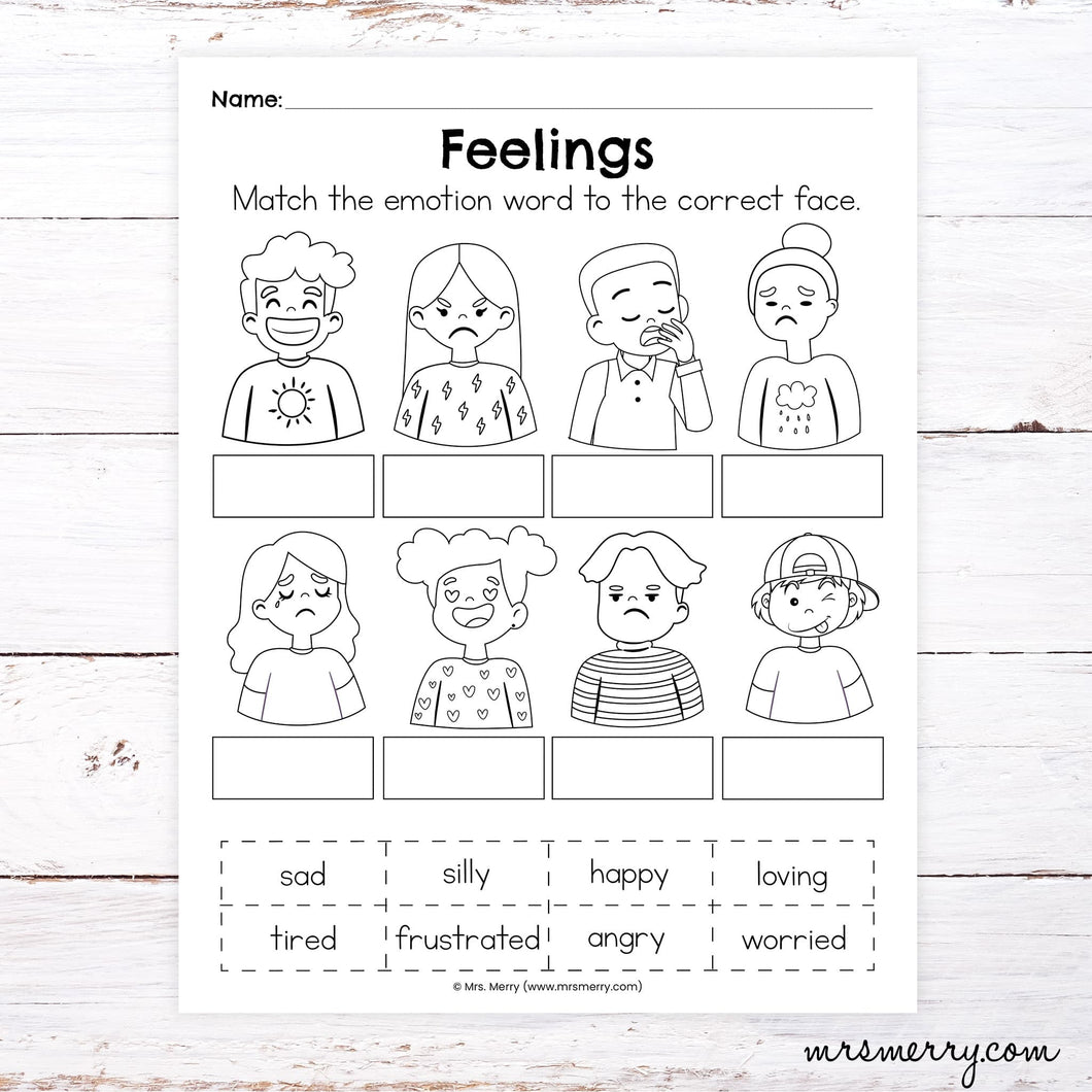 Match the Feelings to the Picture | Emotional Skills