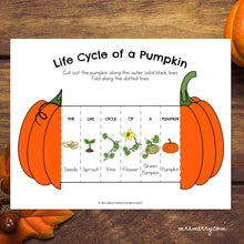 Load image into Gallery viewer, Life Cycle of a Pumpkin Packet | Pumpkin Educational Bundle