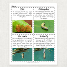 Load image into Gallery viewer, Butterfly Activity Packet | Butterfly Life Cycle for Kids Bundle