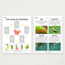 Load image into Gallery viewer, Butterfly Life Cycle for Kids Printable
