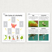 Load image into Gallery viewer, Butterfly Life Cycle for Kids Printable