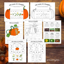 Load image into Gallery viewer, Life Cycle of a Pumpkin Packet | Pumpkin Educational Bundle
