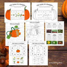 Load image into Gallery viewer, Life Cycle of a Pumpkin Packet | Pumpkin Educational Bundle