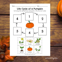 Load image into Gallery viewer, Life Cycle of a Pumpkin Packet | Pumpkin Educational Bundle