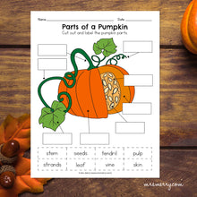 Load image into Gallery viewer, Life Cycle of a Pumpkin Packet | Pumpkin Educational Bundle