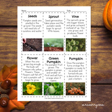 Load image into Gallery viewer, Life Cycle of a Pumpkin Packet | Pumpkin Educational Bundle