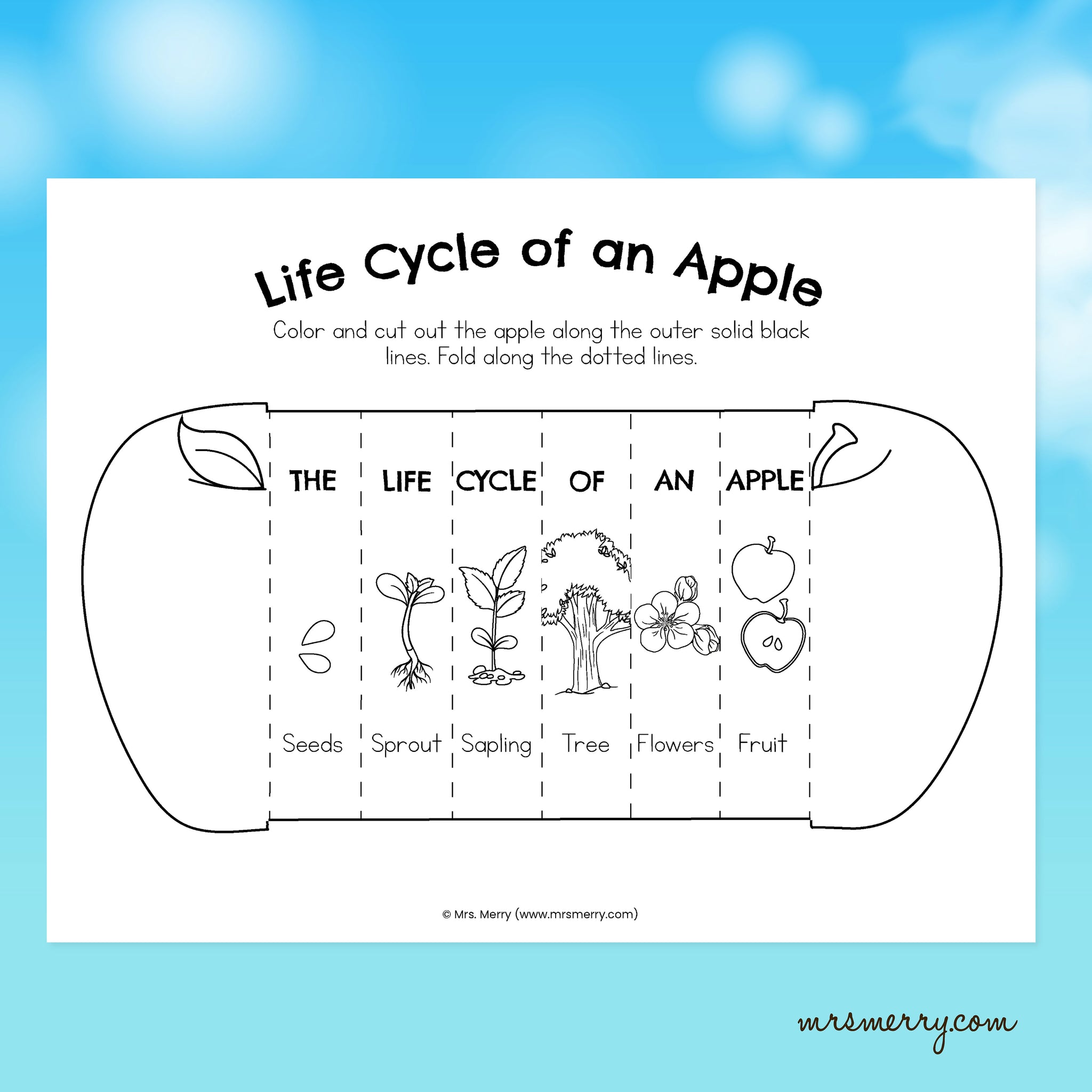 Life Cycle Of An Apple To Print Pdf Kindergarten Worksheet Apple Tree