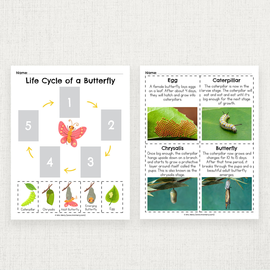 Butterfly Life Cycle for Kids Printable