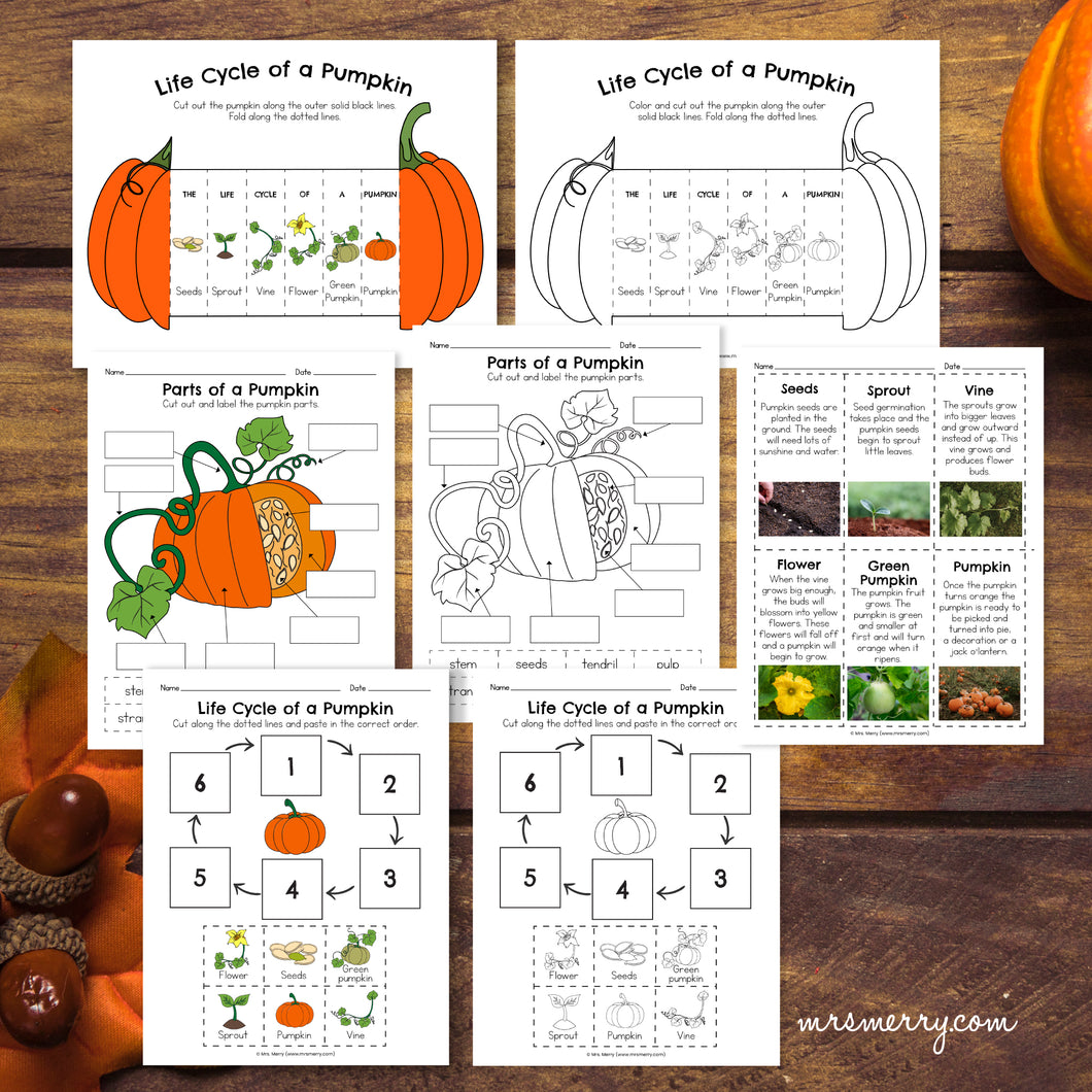 Life Cycle of a Pumpkin Packet | Pumpkin Educational Bundle