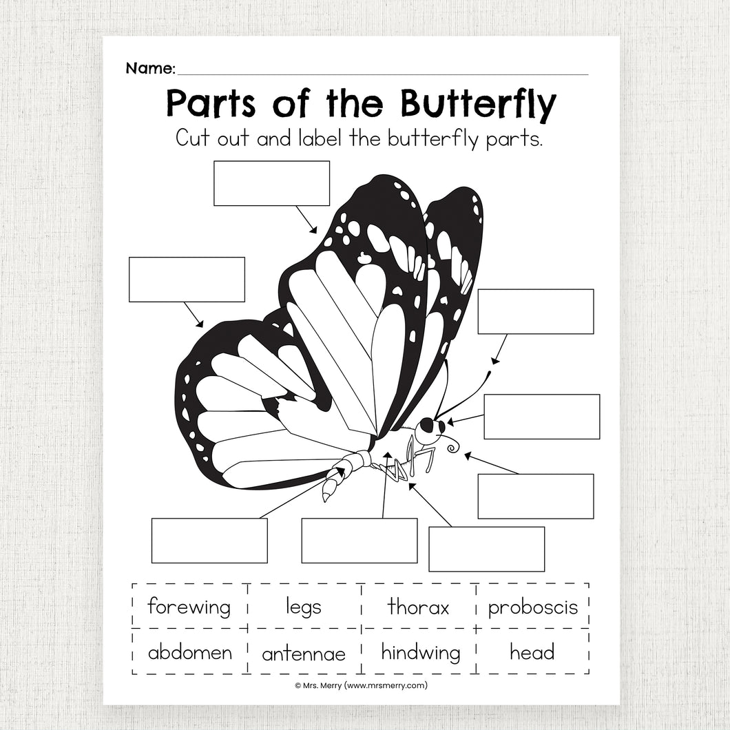Parts of the Butterfly Worksheet