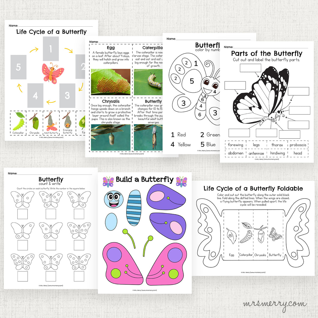 Butterfly Activity Packet | Butterfly Life Cycle for Kids Bundle